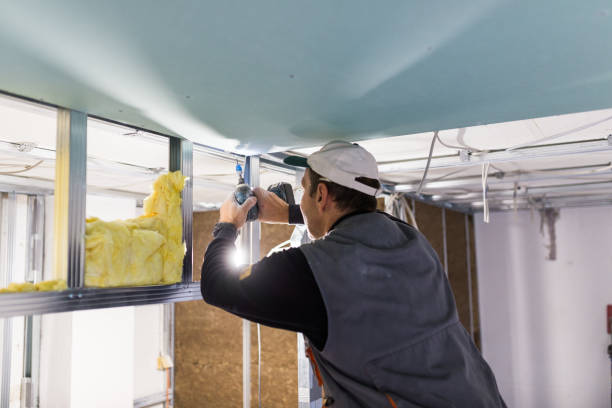 Best Eco-Friendly or Green Insulation Solutions  in New Haven, MI